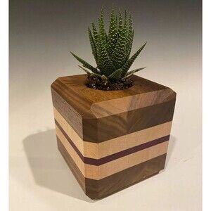 4.5" Mini Succulent Wooden Planters - Handmade Handcrafted Natural Wood!